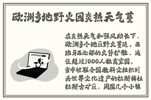 麻豆传煤APP网页入口大全下载